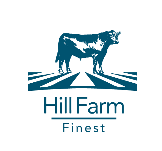 Home logo blue vector 3